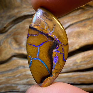 21.1cts - Tribal Queensland Boulder Opal. Australian Opal