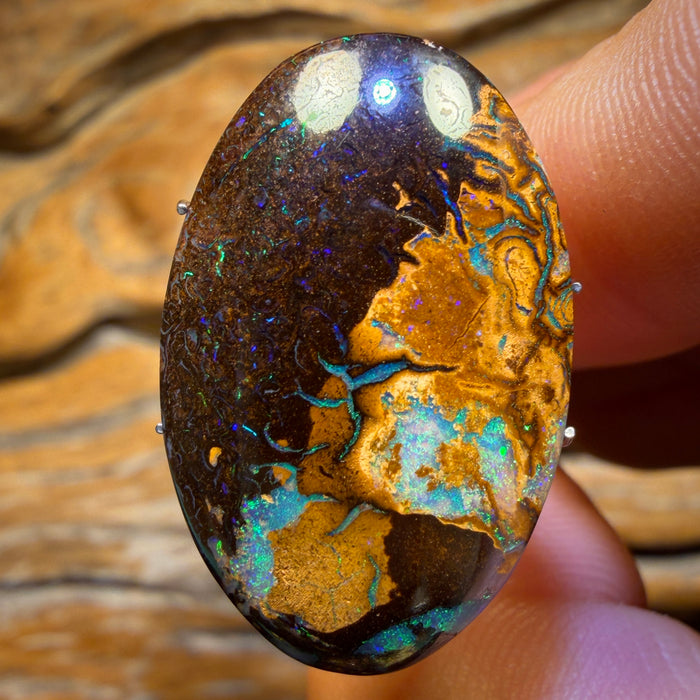 21.6cts - Yowah Nut Tribal Opal. Australian Opal