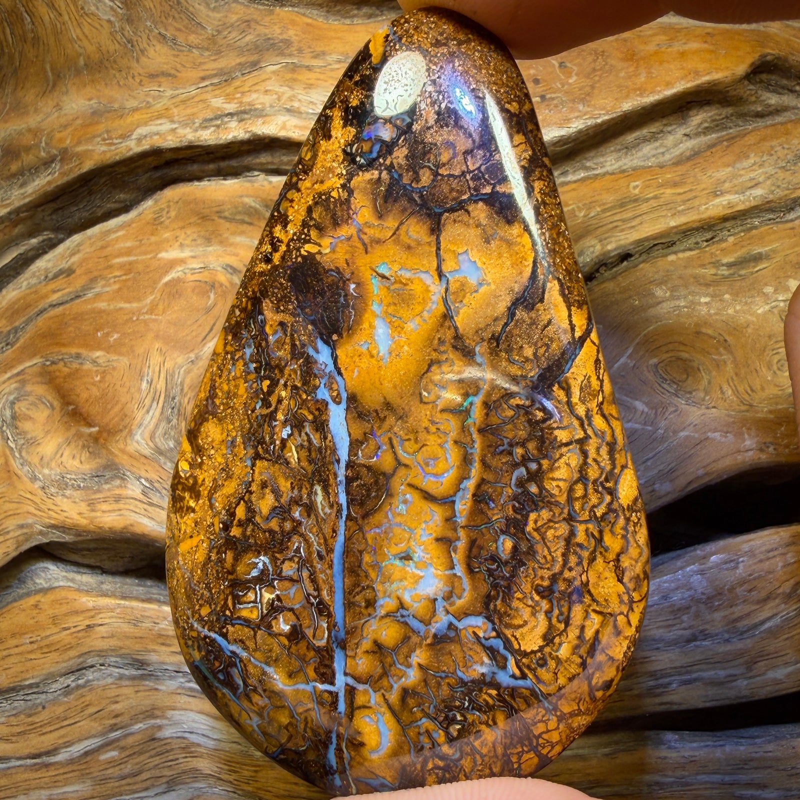 210.2cts - Large Tribal Queensland Boulder Opal from Yowah