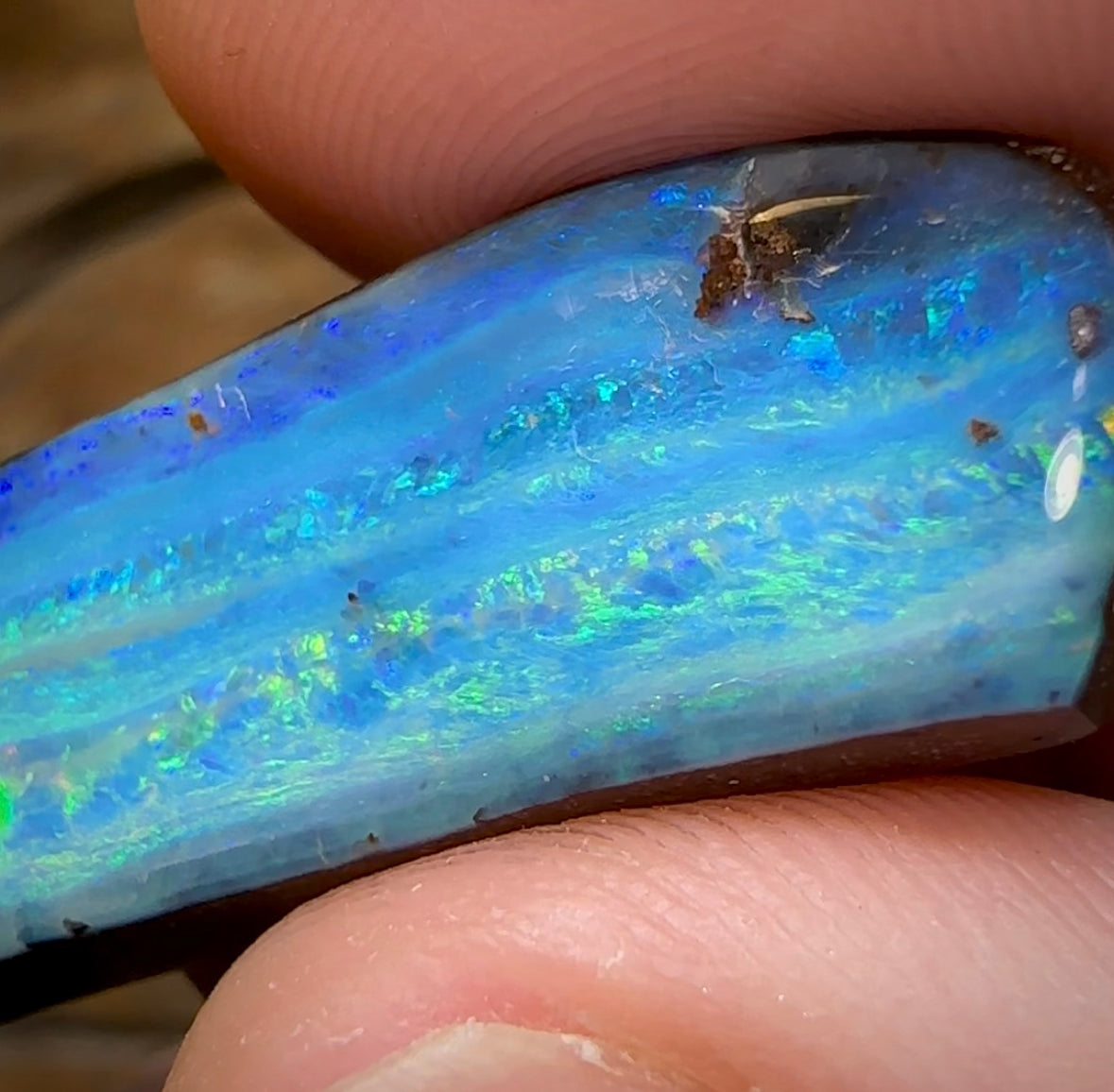 86cts - HUGE Gem Quality Australian Boulder Opal from Winton - Opal Whisperers