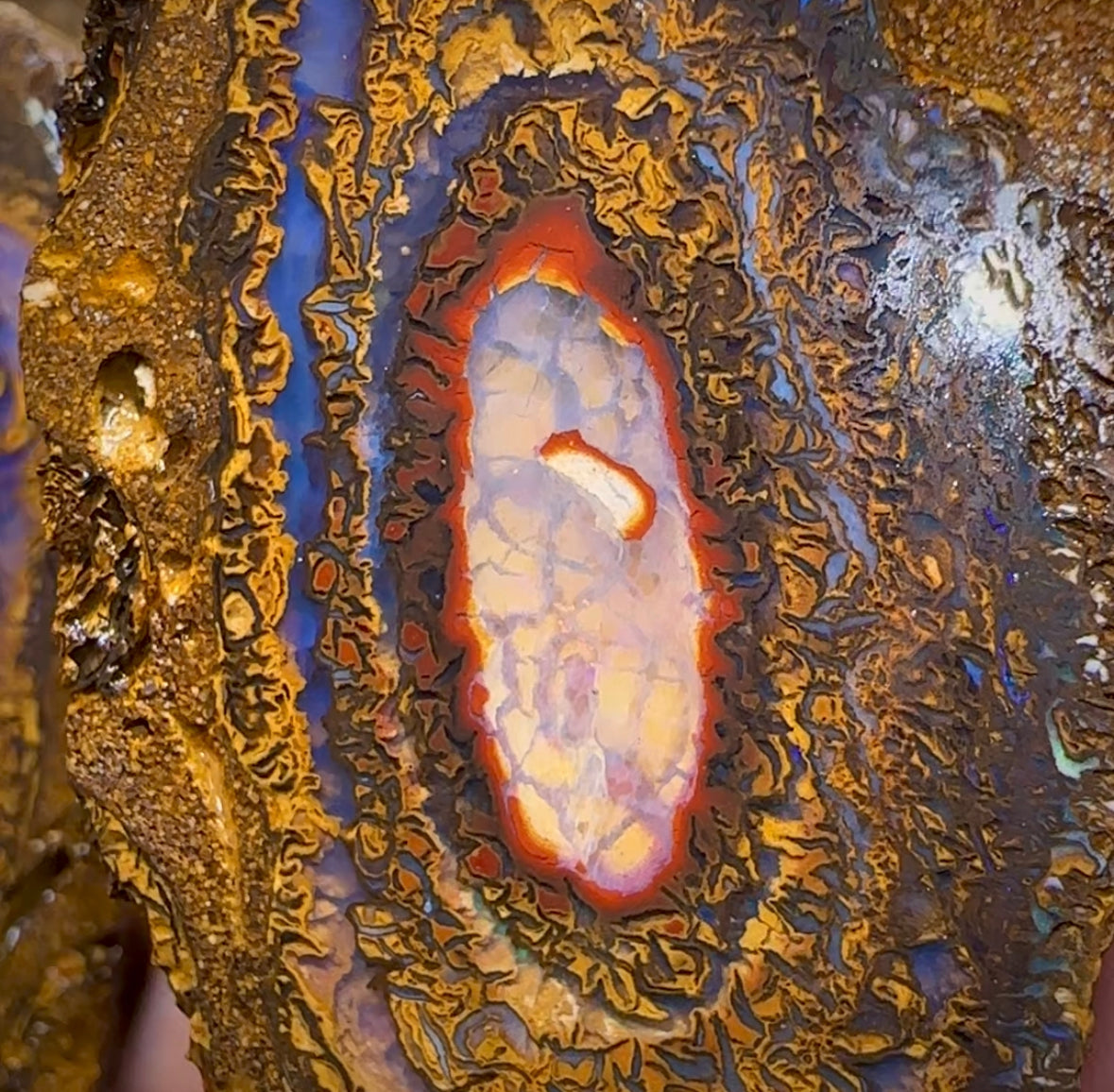 495.1cts - Yowah Nut Rough Specimen Pair. Australian Boulder Opal - Opal Whisperers