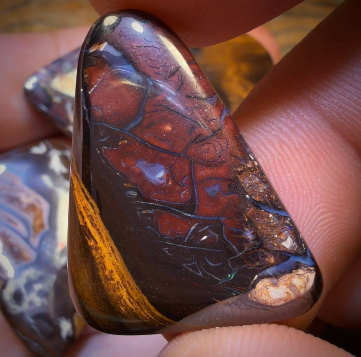 157.2cts - 5x Australian Boulder Opal’s. Wholesale Dealers Parcel