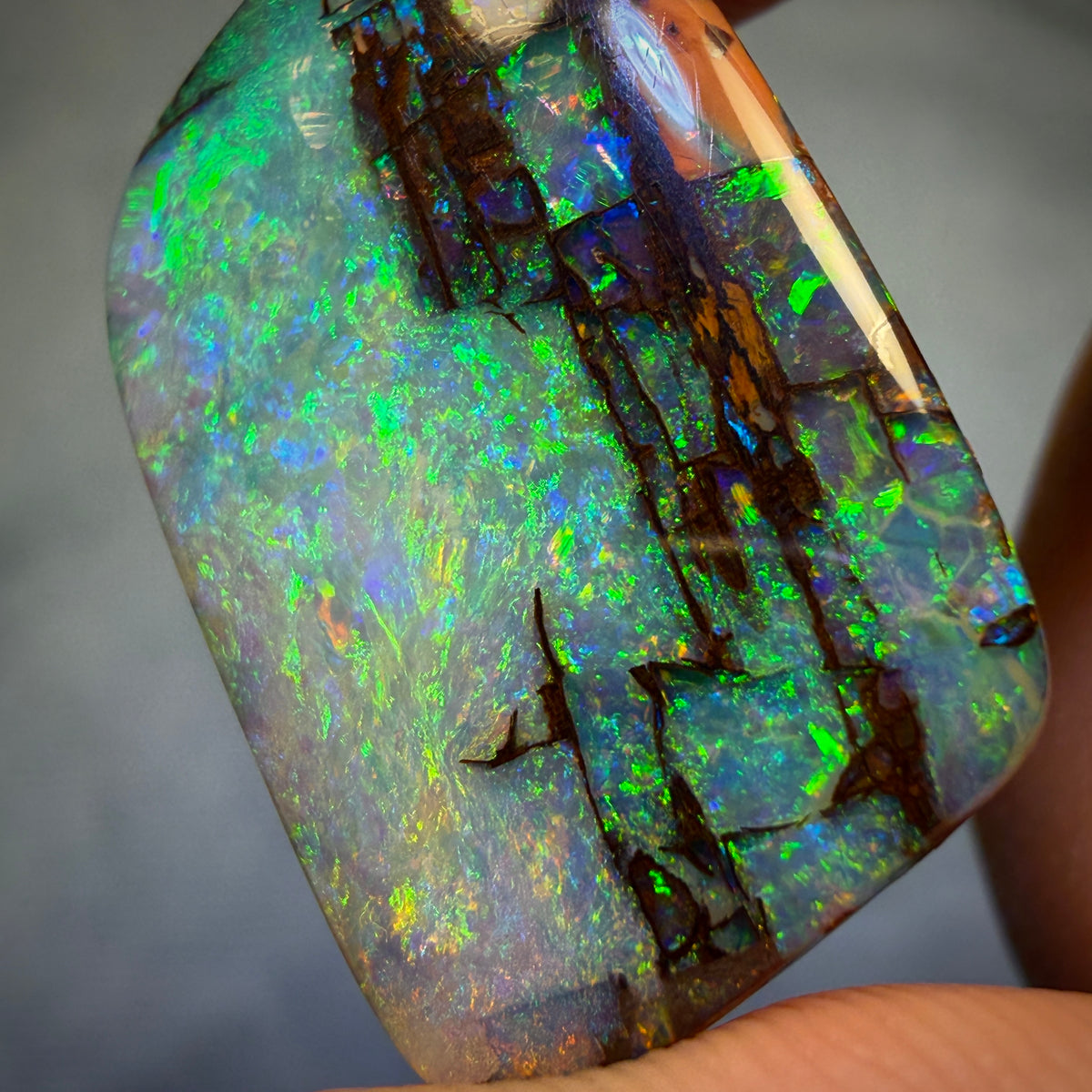 “Set in Stone” - Private Collector Investment - 12.6cts - TOP Gem Wood Fossil Replacement Opal from Yowah. Featured on “Outback Opal Hunters”!