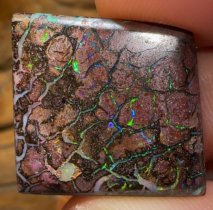 32.5cts - “Chemical Fire” Queensland Boulder Opal - Opal Whisperers