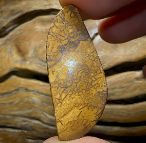 Auction Fall-Through = Your Gain! 🔥 Now More Than 50% Off RRP 🚨 25.9cts - Yowah Nut Tribal Opal