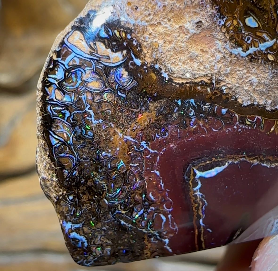 248cts - Australian Yowah Boulder Opal Kernel Specimen with Tribal - Opal Whisperers