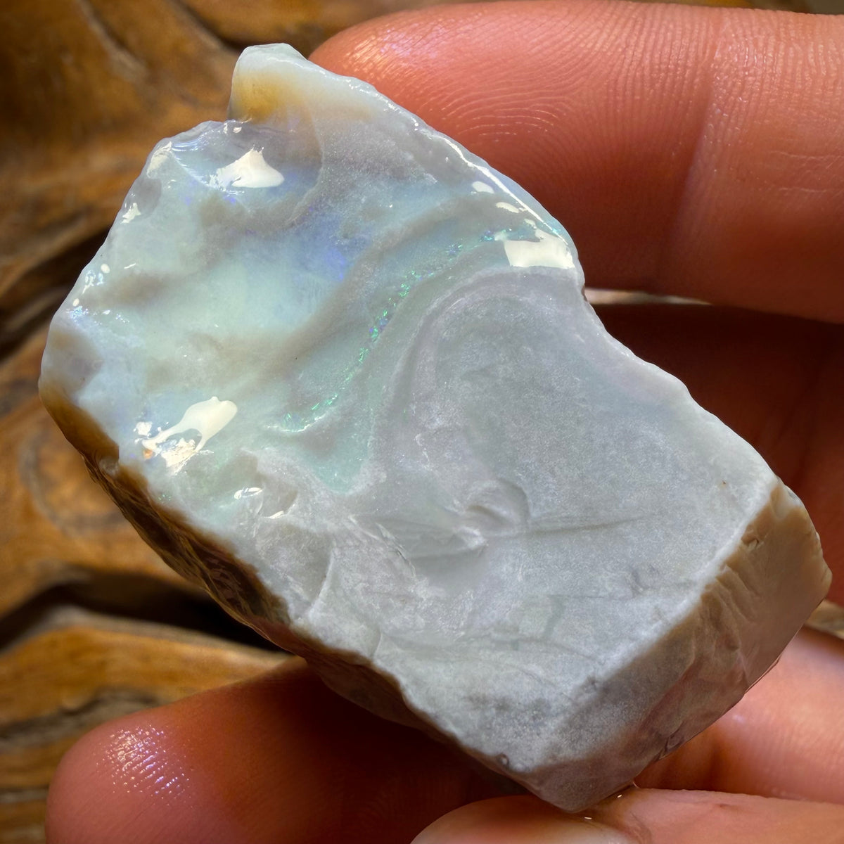 214.3cts - Large Lightning Ridge Dark Opal Rough Piece