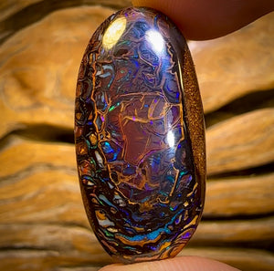 41.4cts - Tribal Australian Boulder Opal from Yowah