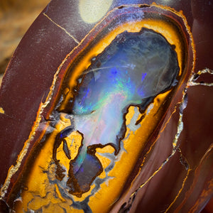 448.4cts - “To Cut or Not To Cut” Yowah Nut Kernel Opal. Polished Specimen