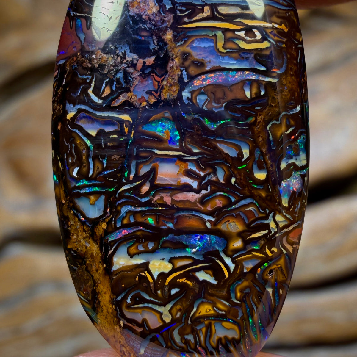 26.4cts - Tribal Queensland Boulder Opal from Yowah