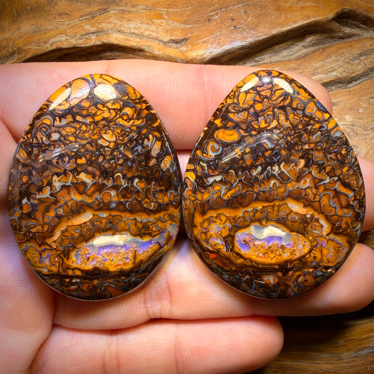 216.8cts - Tribal Queensland Boulder Opal Pair
