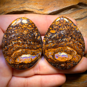 216.8cts - Tribal Queensland Boulder Opal Pair
