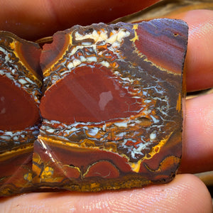 Roadshow Wild Card!284.8cts - Yowah Nut Tribal Opal Rough Specimen Pair