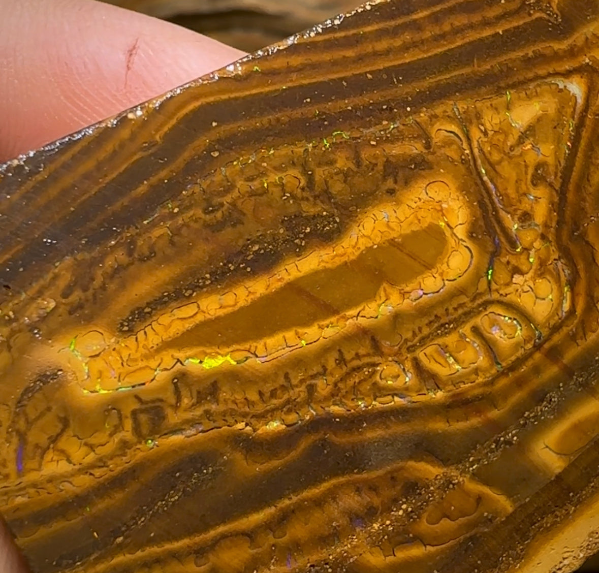 85g - Queensland Boulder Opal Rough Slab Pair - Opal Whisperers