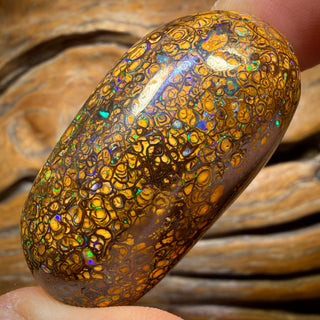 218.7cts - large Tribal Australian Boulder Opal Polished Specimen