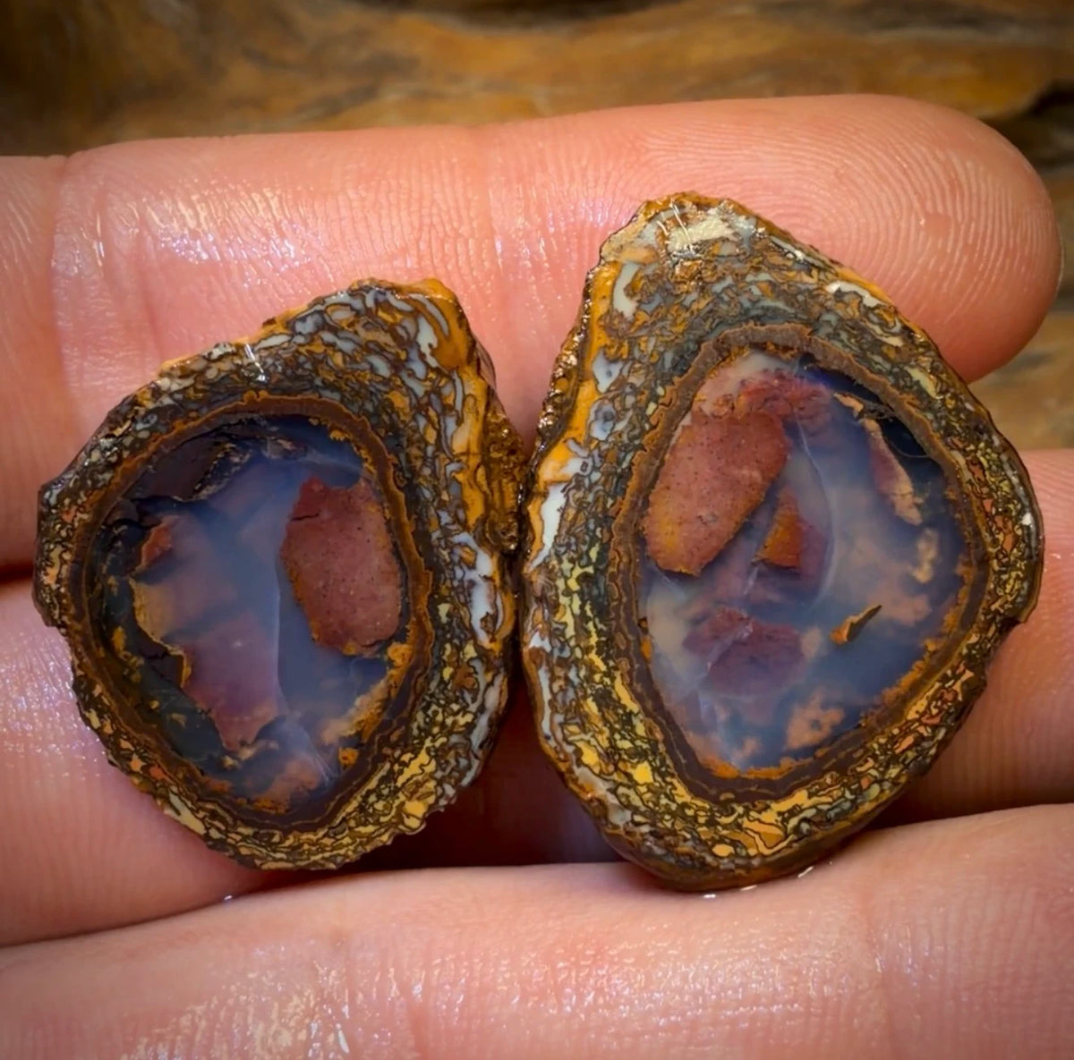 OpalFest WildCard 20% OFF 70.8cts - Yowah Nut Partial Crystal Centre Rough Specimen Pair