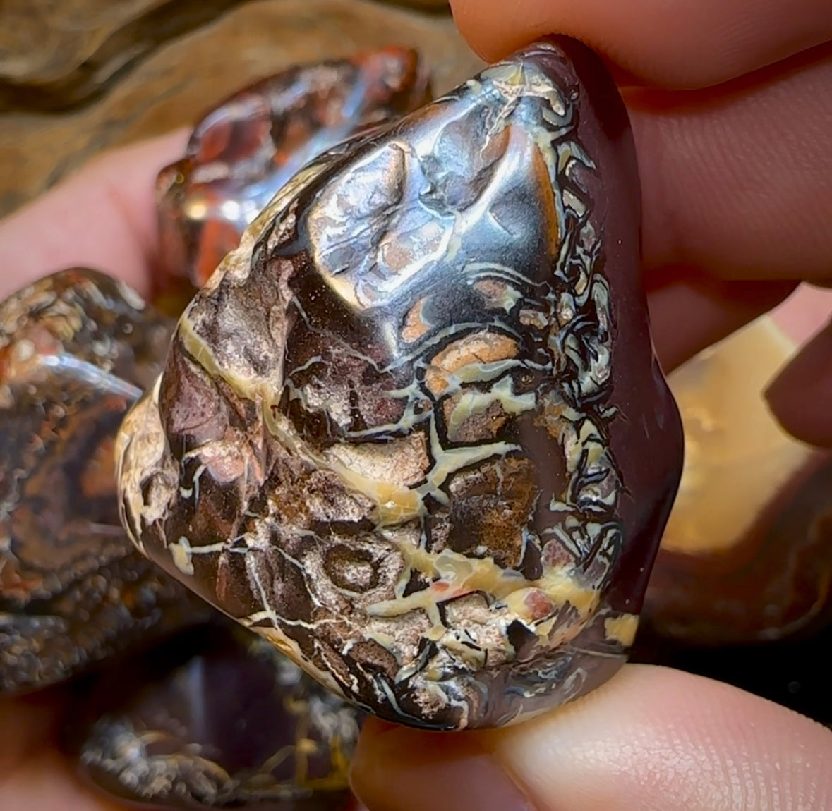 Large Queensland Boulder Opal Baroque Tribal Pattern Specimens - Opal Whisperers