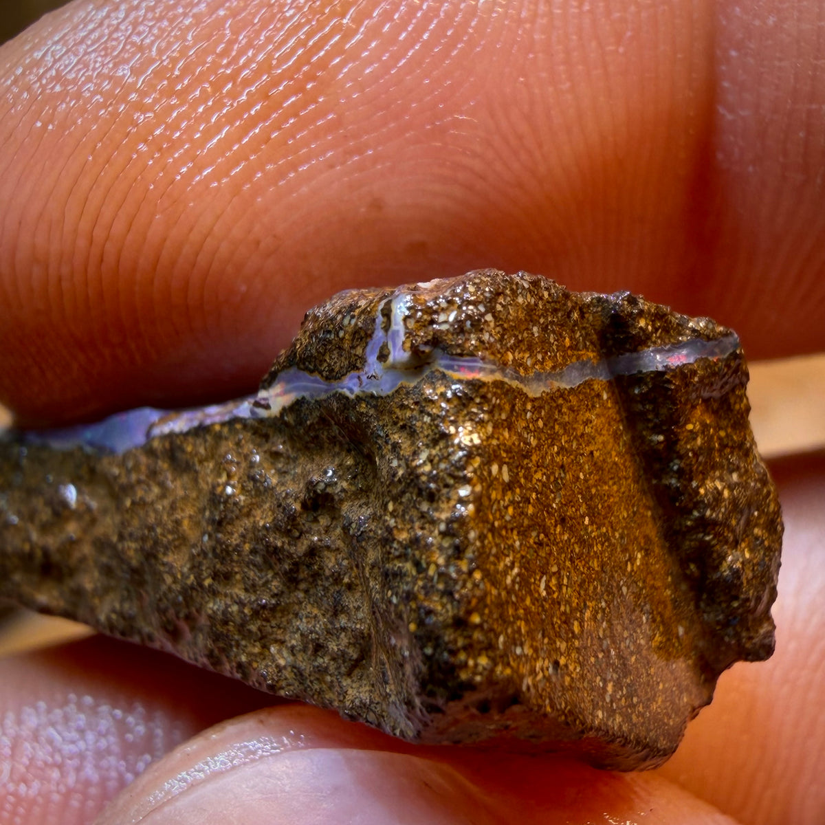Bargain Card! 33.5cts - Queensland Boulder Seam Opal Rough Piece. Natural Split