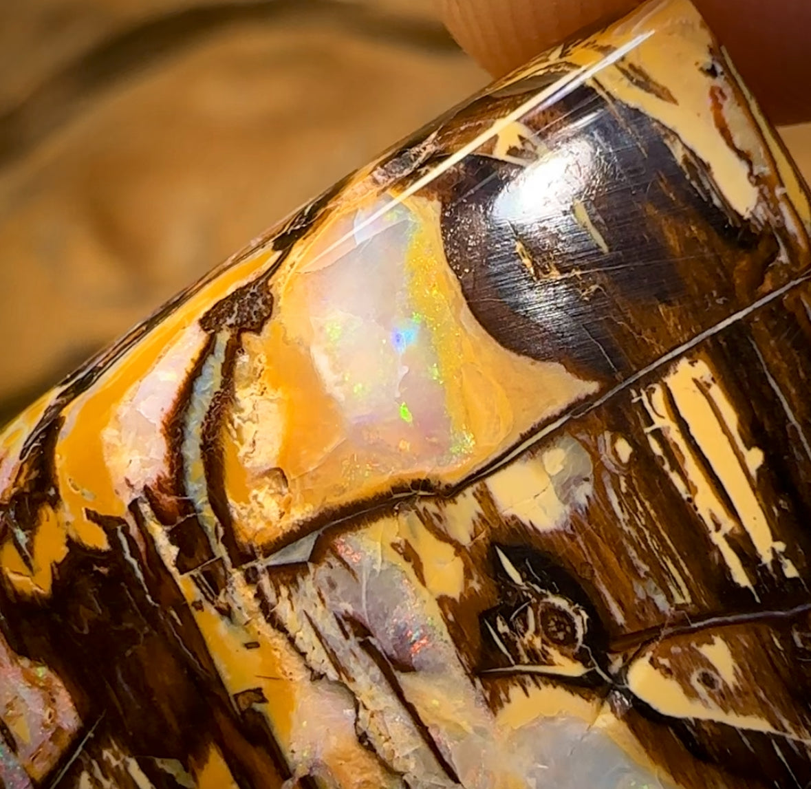 58.6cts - Australian Boulder Wood Fossil Opal Cathedral Type Pattern