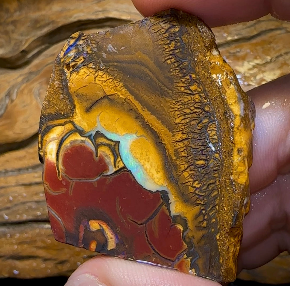 (Template) 296.1cts - Yowah Nut Opal Specimen Rub - Opal Whisperers