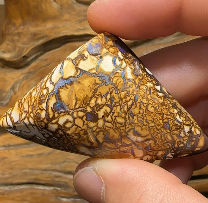 220cts - Rare White Tribal Yowah Nut Opal Specimen Polished - Opal Whisperers