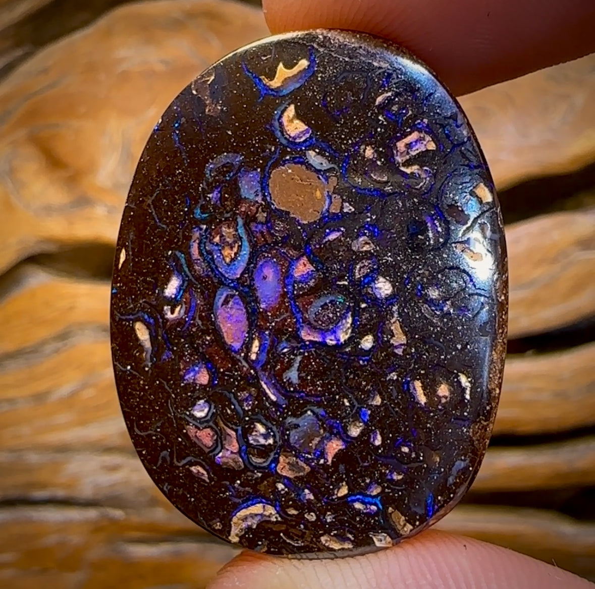 62.6cts - Tribal Yowah Nut Opal. Australian Opal