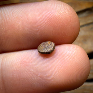 0.4 Karat - Australischer Boulder-Opal aus Yowah