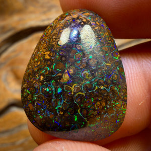 22.1cts - Tan Tribal Queensland Boulder Opal from Yowah. Electric Colour