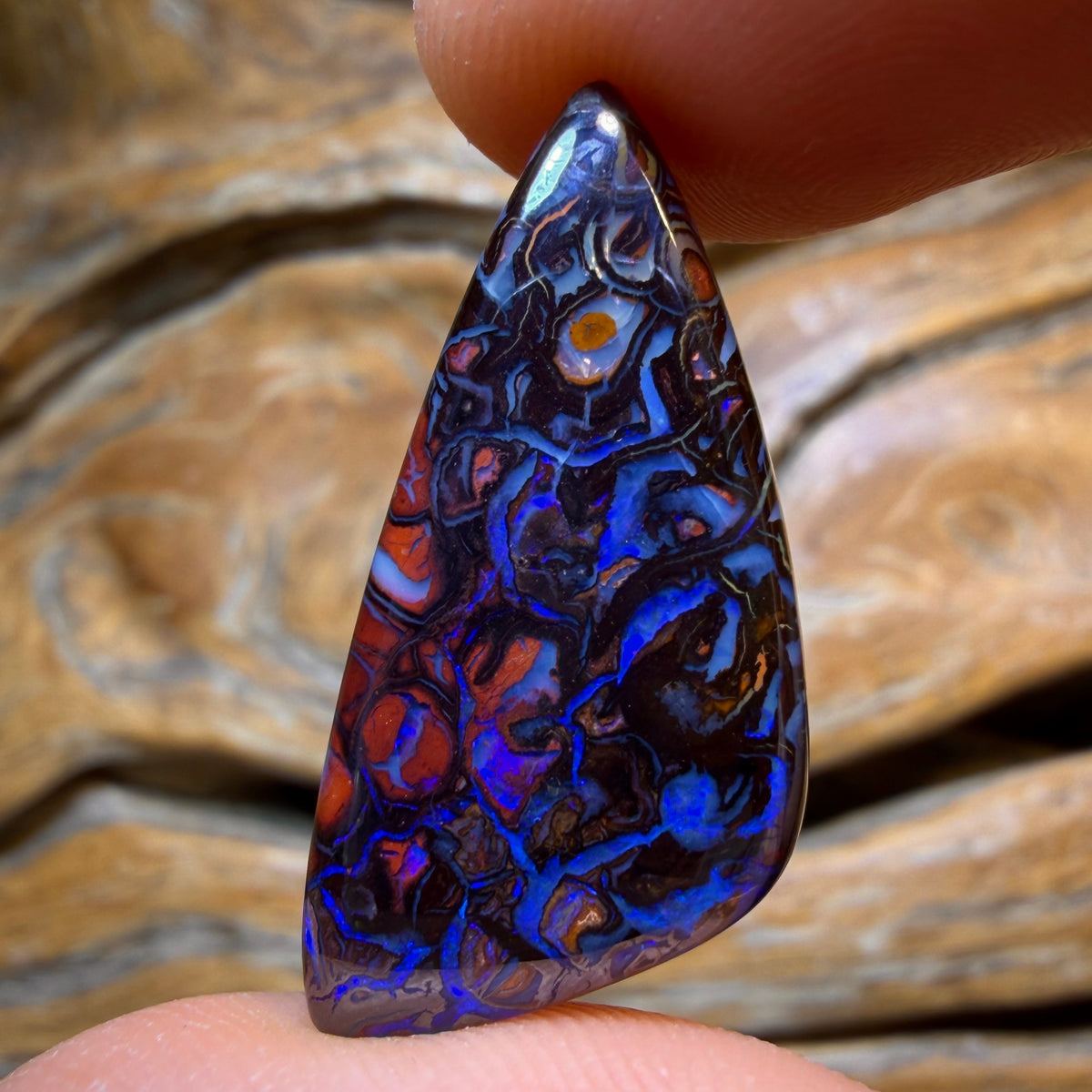 22.1cts - Tribal Yowah Nut Opal