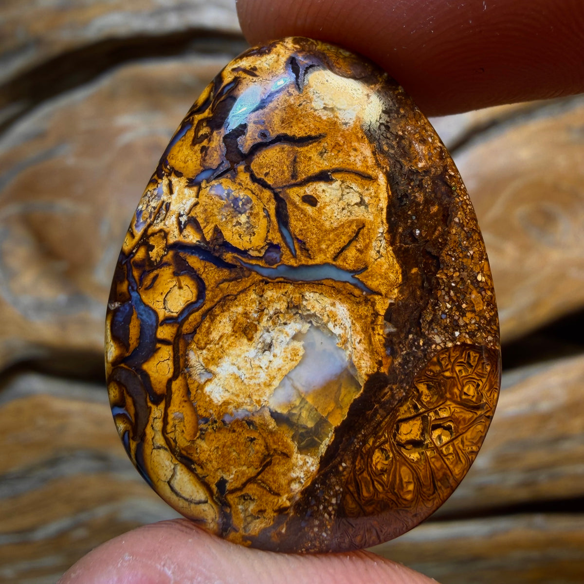 22.1cts - Tribal Yowah Nut Opal. Australian Opal