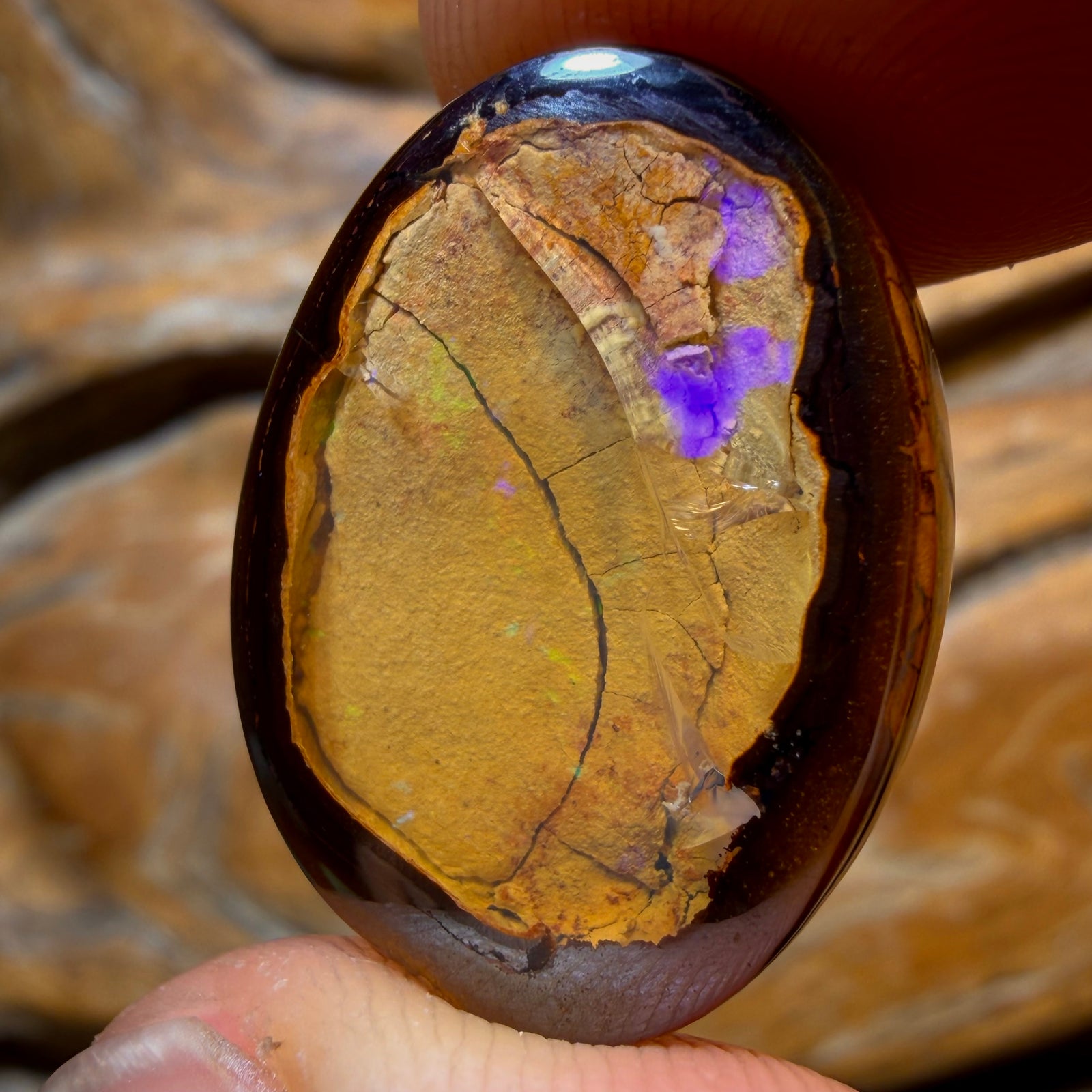 22.3cts - Rare Yowah Nut Crystal Centre Opal