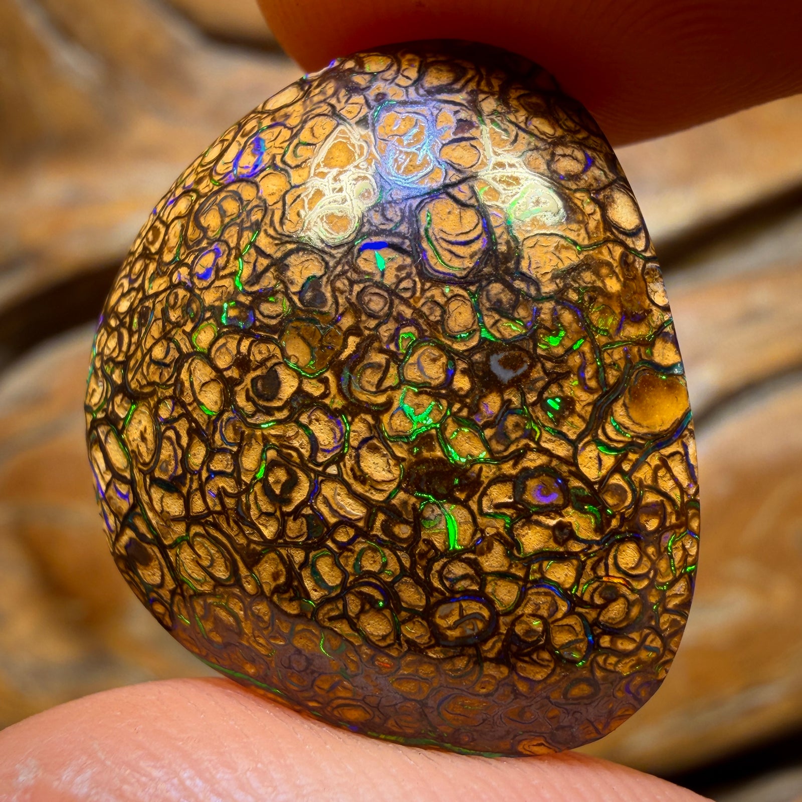 22.5cts - Tan Tribal Queensland Boulder Opal from Yowah