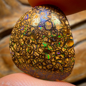 22.5cts - Tan Tribal Queensland Boulder Opal from Yowah
