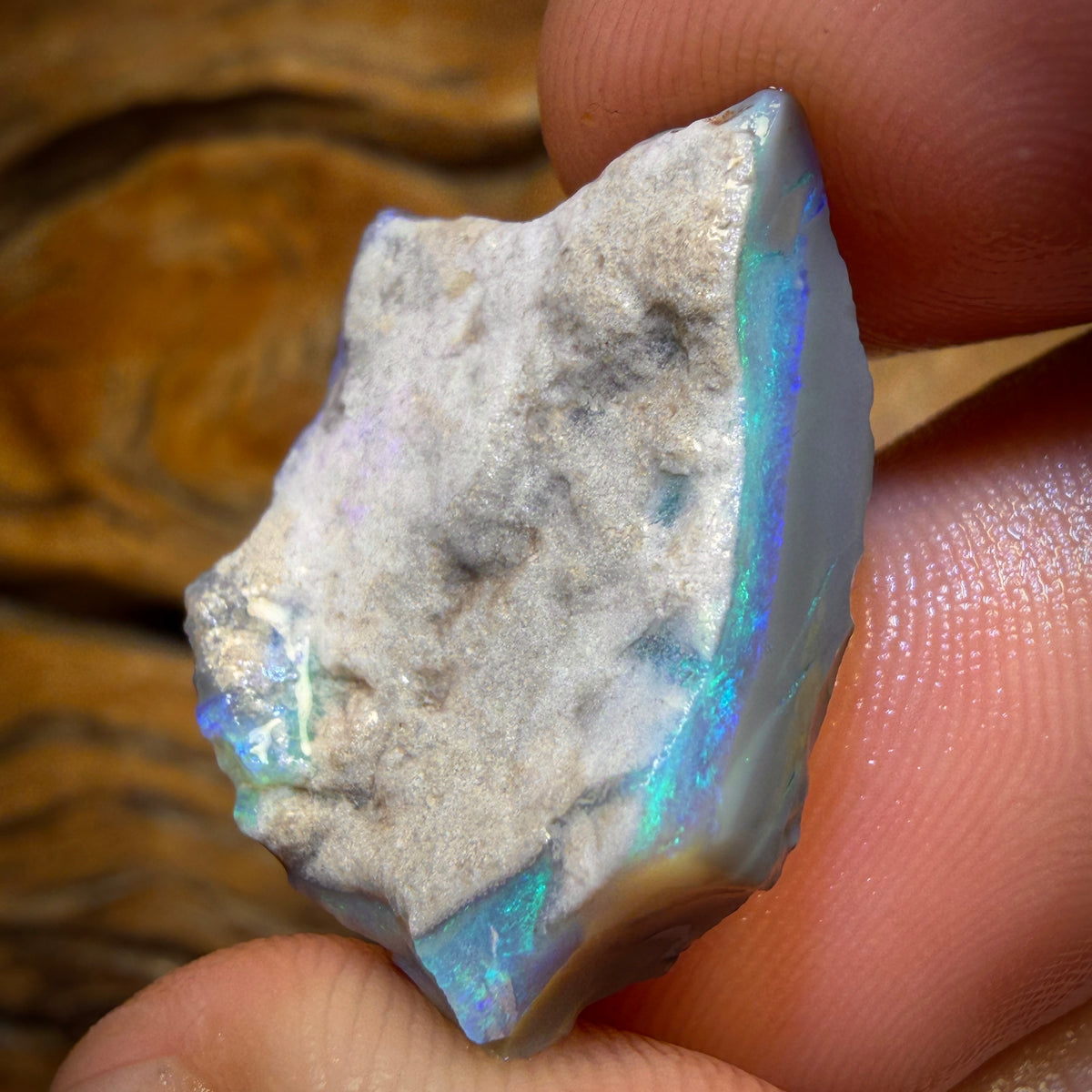 22.7cts - Lightning Ridge Opal Rough Piece