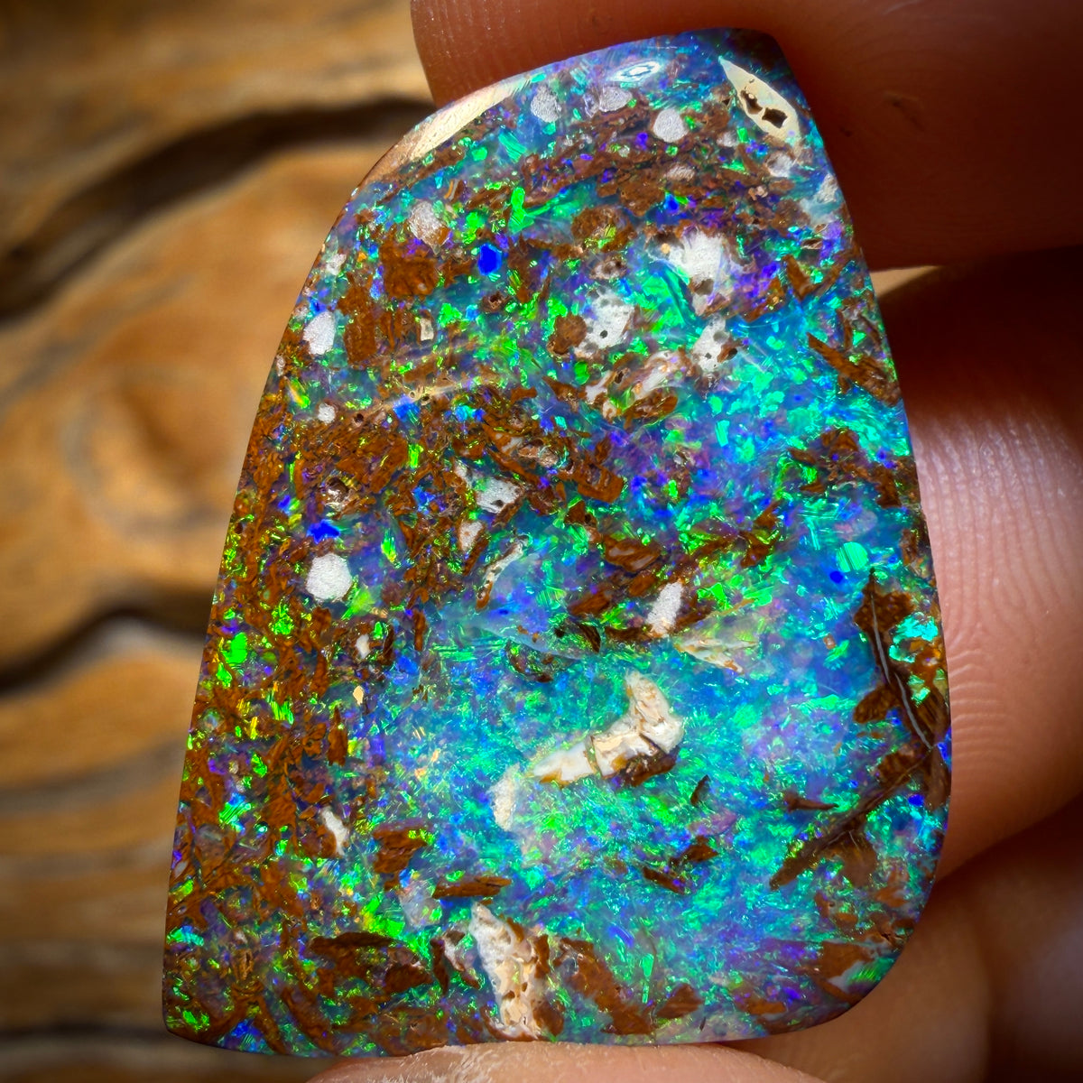 22.7cts - Top Queensland Boulder Opal from Yowah
