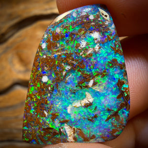 22.7cts - Top Queensland Boulder Opal from Yowah