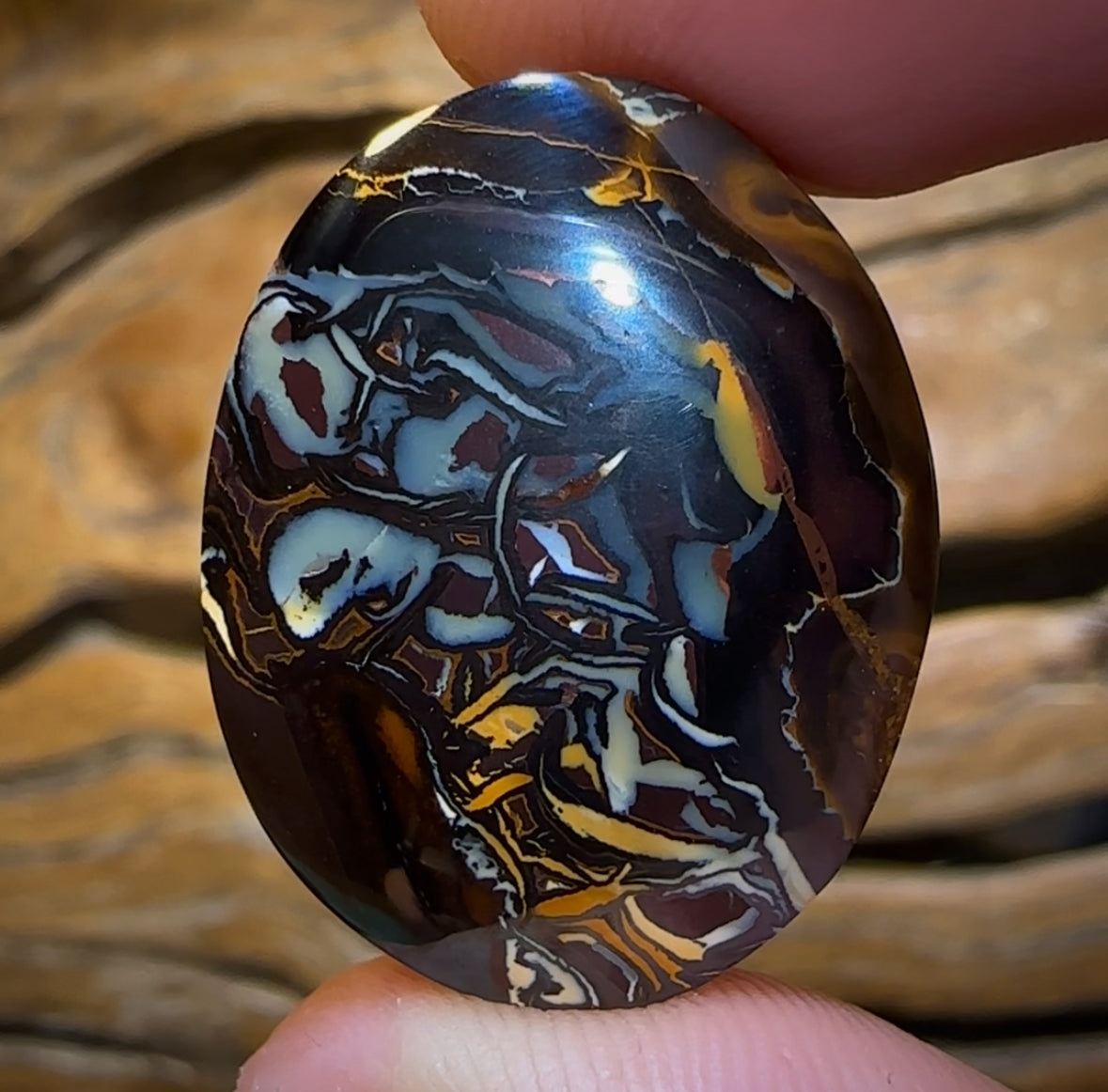 Auction Fall-Through = Your Gain! 🔥 Now More Than 50% Off RRP 🚨 51.8cts - Queensland Boulder Opal from Koroit