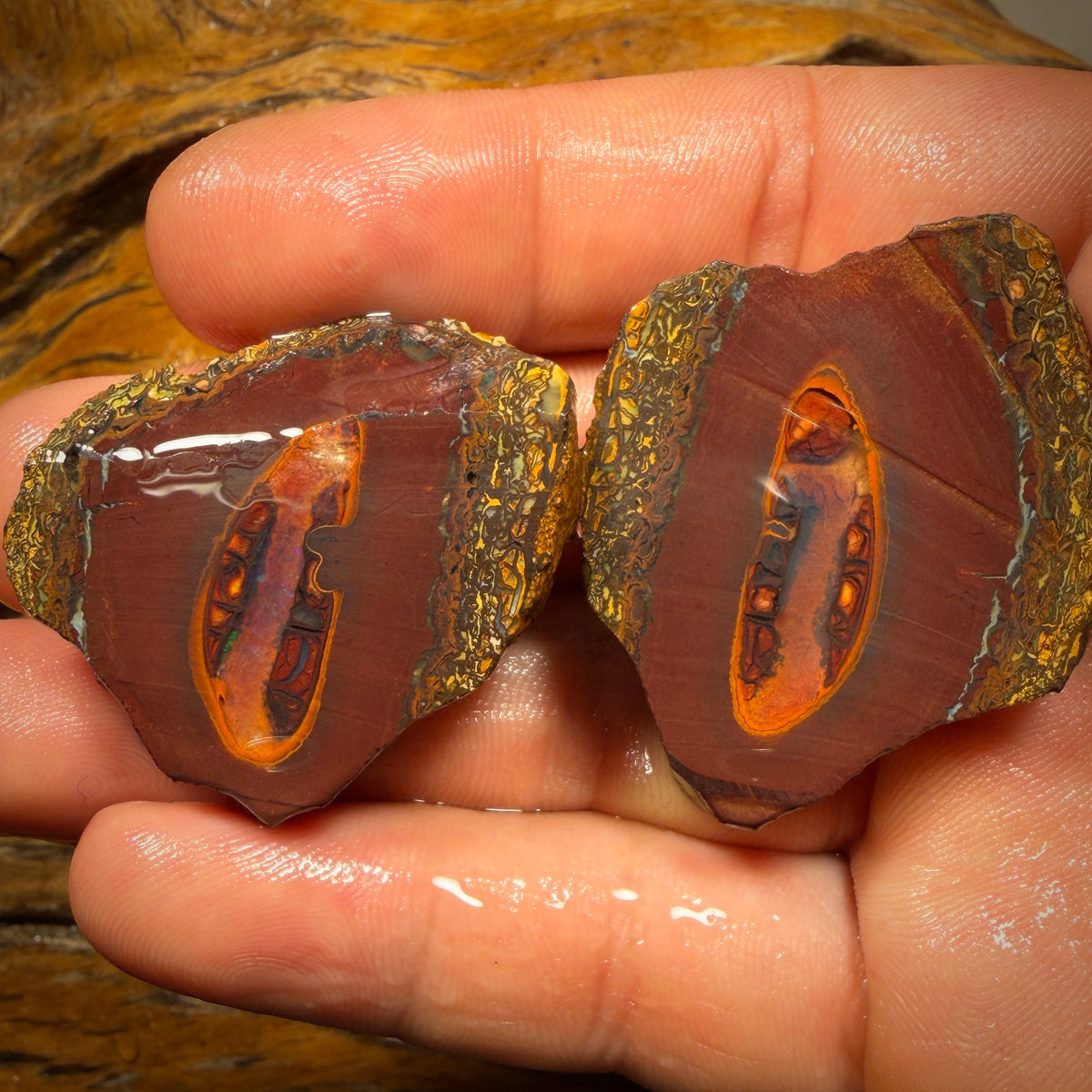 221.6cts - Yowah Nut Crystal Centre Rough Specimen Pair