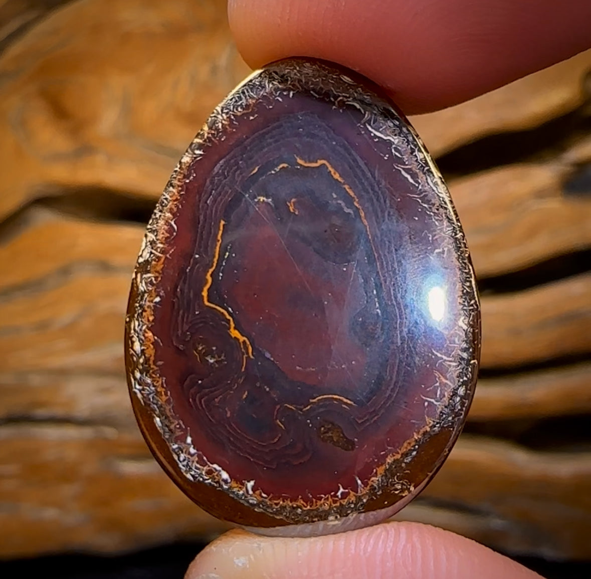 🔨 AUCTION 🔨 No Reserve 30.9cts - Tribal Australian Boulder Opal from Koroit