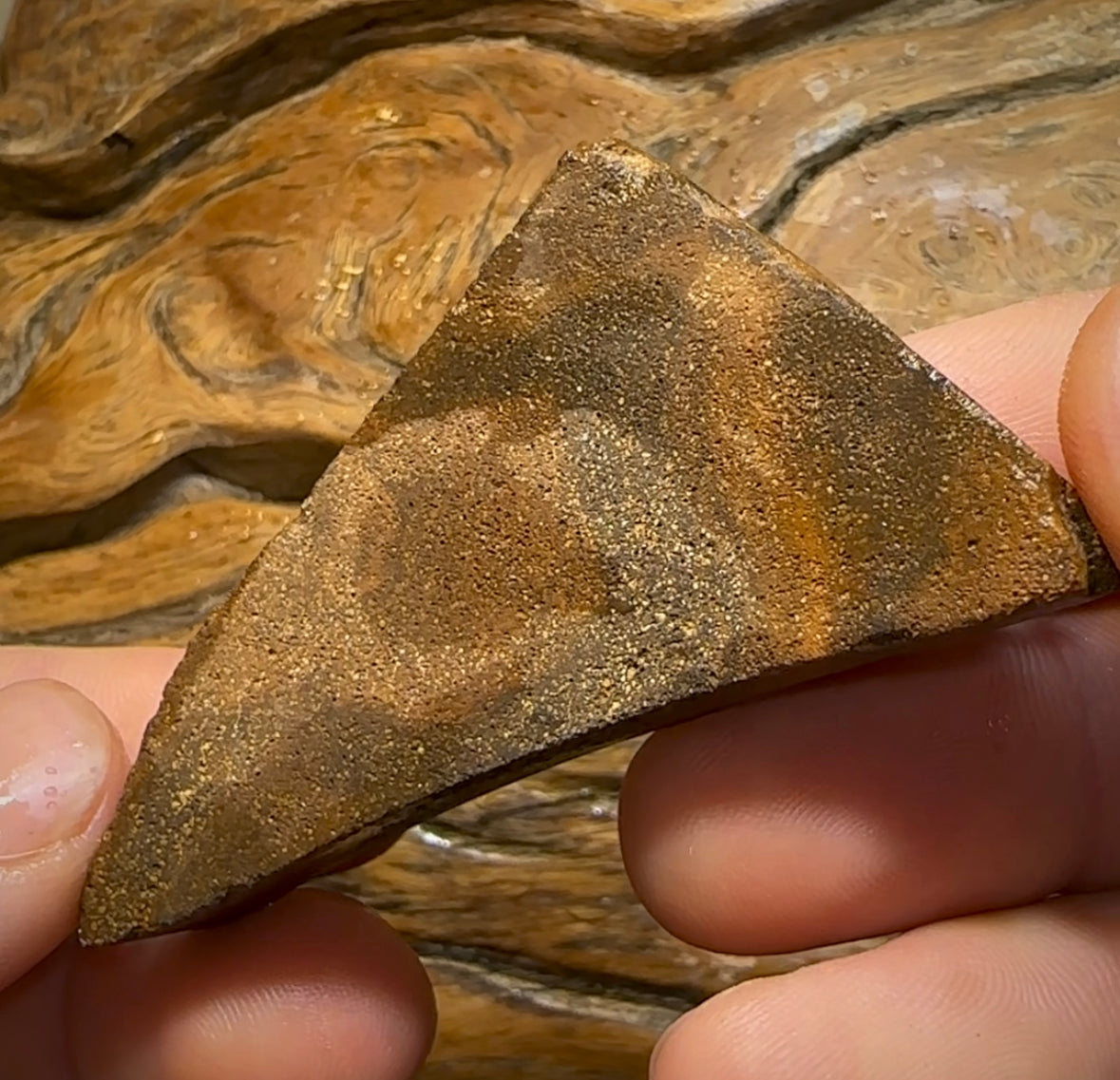 211.9cts - Queensland Boulder Opal Rough Rub Preform - Opal Whisperers