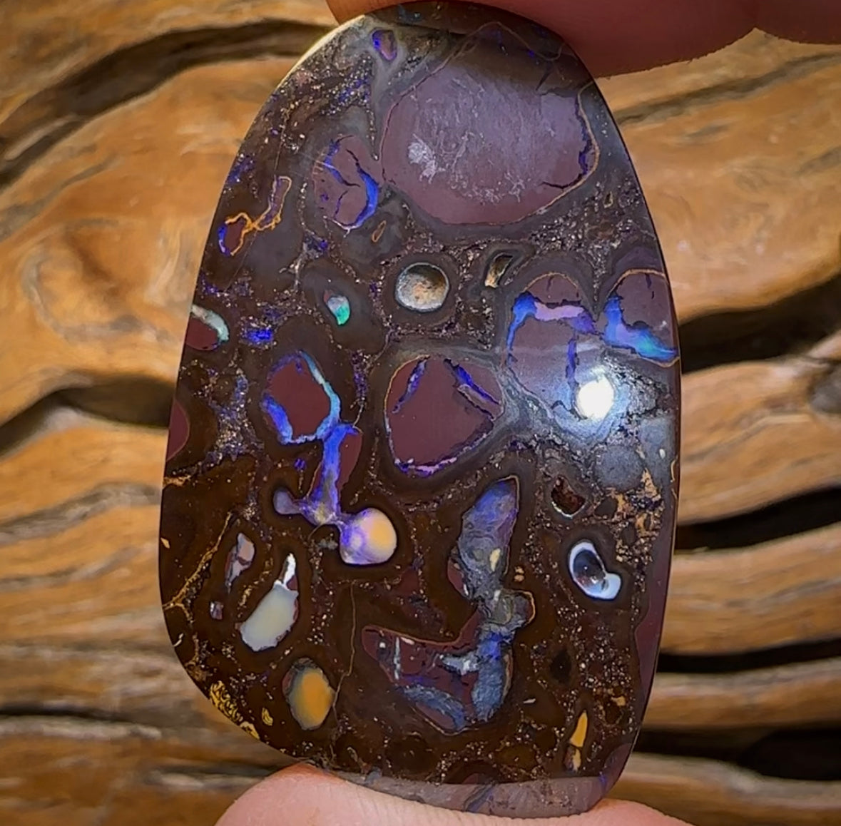 50.9cts - Large Koroit Nut Conglomerate Opal. Double Sided