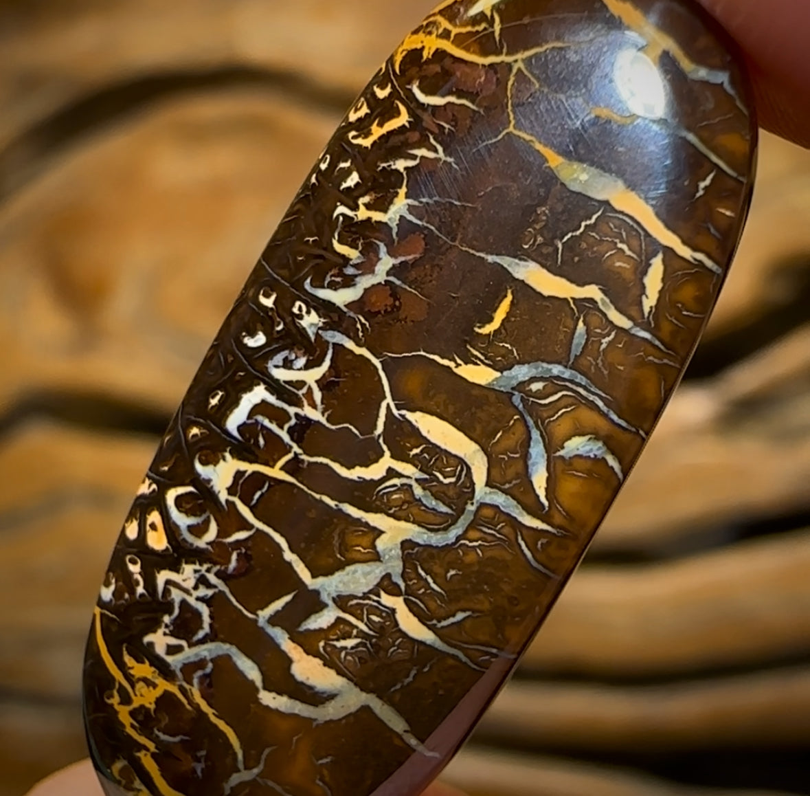 Auction Fall-Through = Your Gain! 🔥 Now More Than 50% Off RRP 🚨 20.1cts - “hieroglyphic Dancers” Crazy Pattern Queensland Boulder Opal from Koroit Art of Opal Worthy