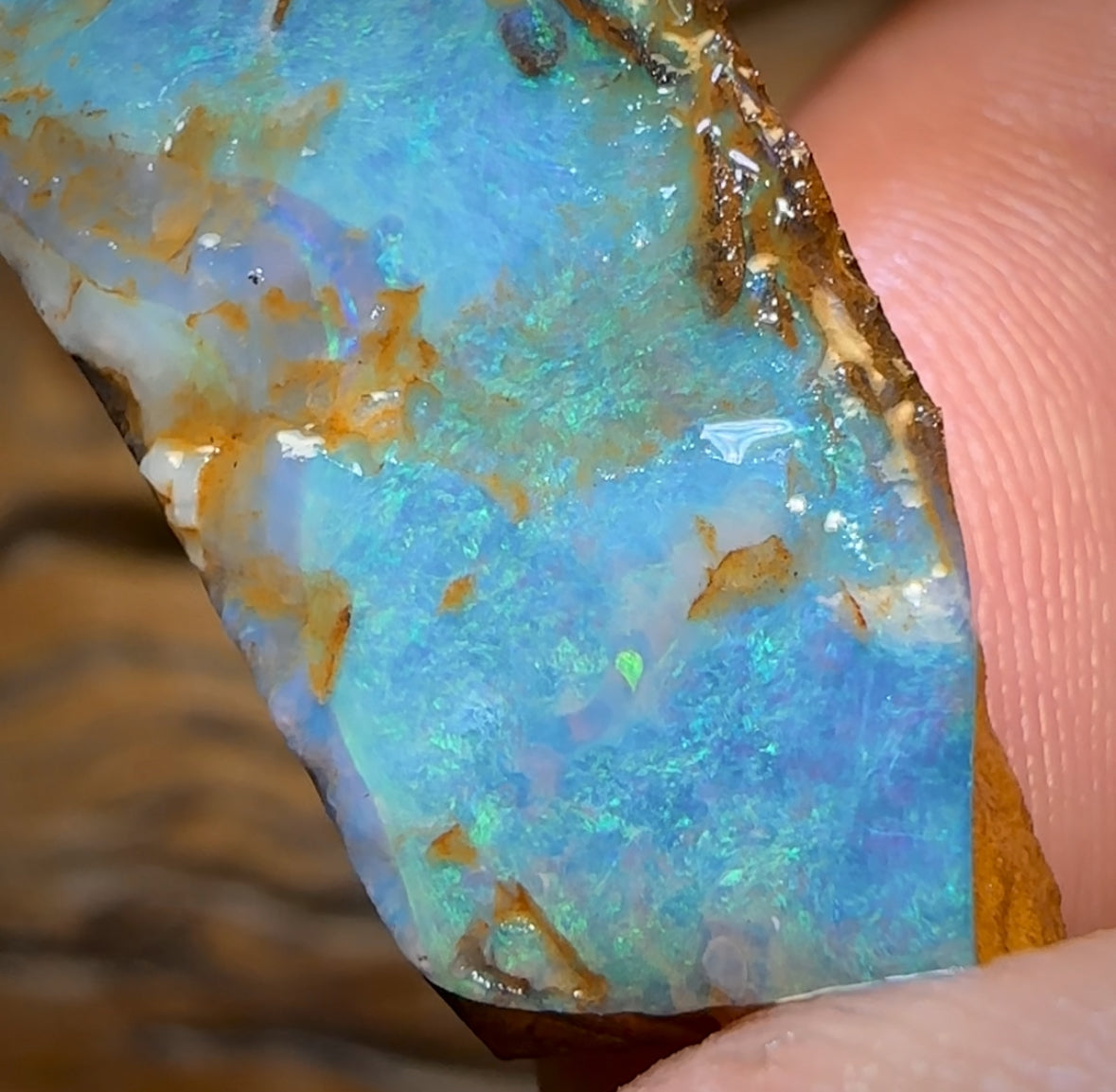 25.1cts - Queensland Boulder Opal Preform Rub
