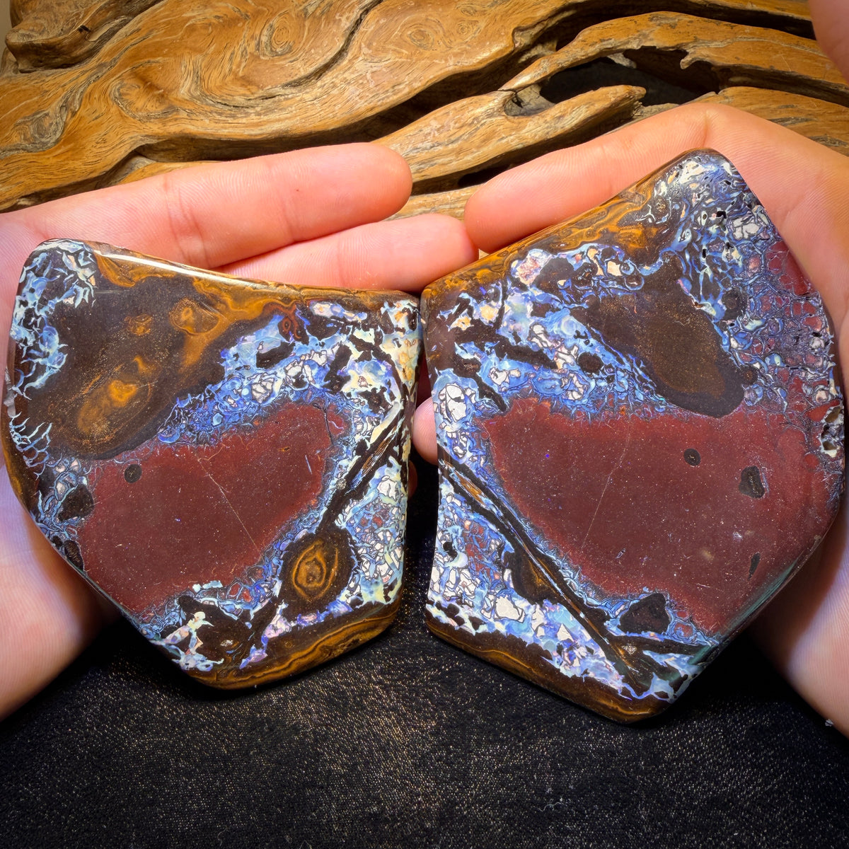 2279cts - Large Tribal Yowah Nut Opal Pair. Polished Specimens
