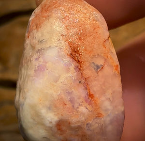 43.5cts - Opalised Shell Rare Geological Specimen from South Australia Good Shape