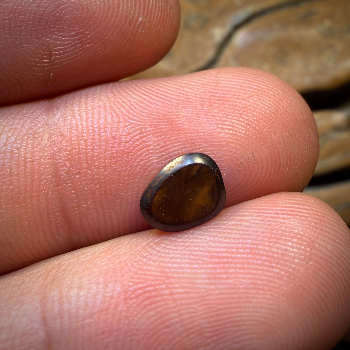 1.6cts - Queensland Boulder Seam Opal. Australian Opal