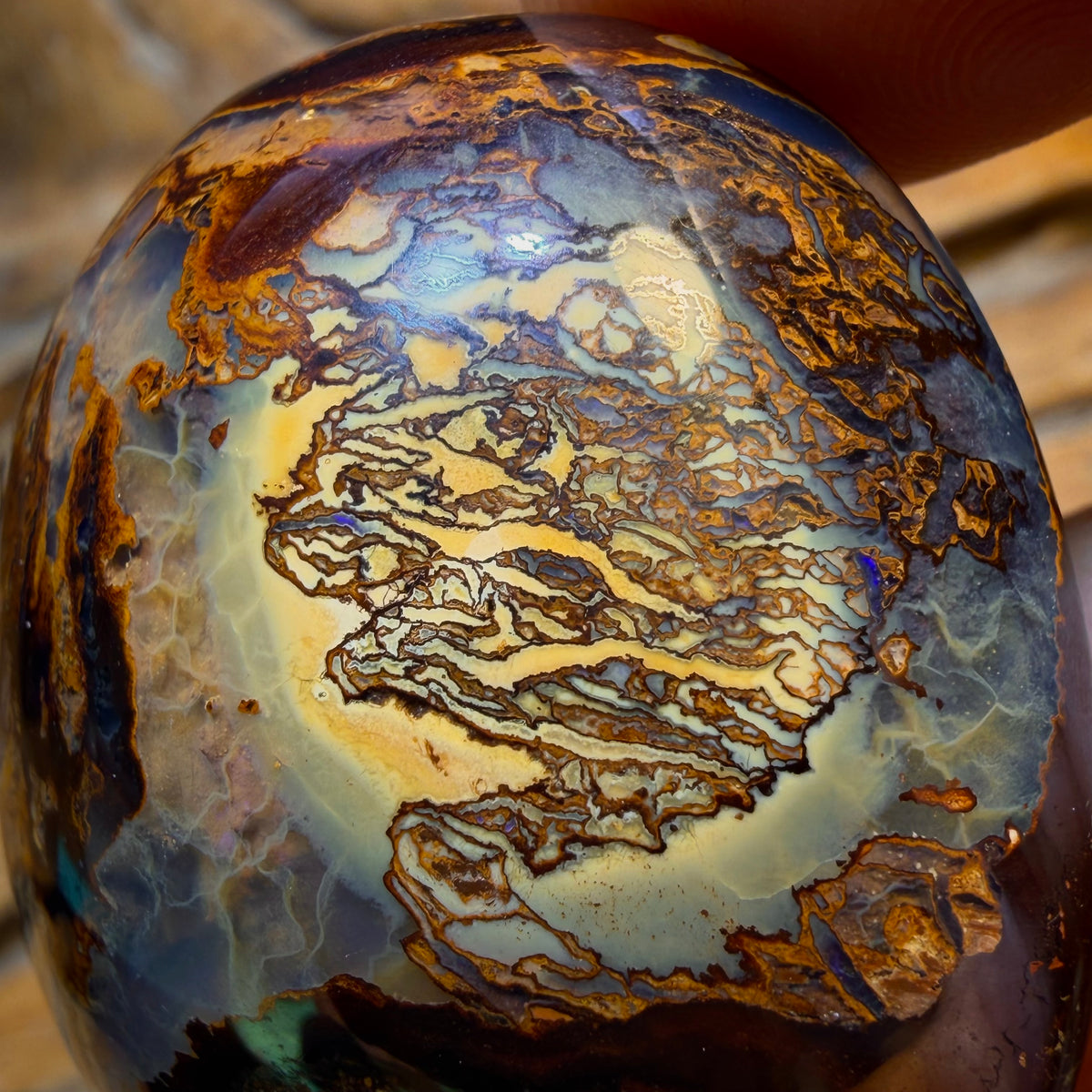 OpalFest WildCard! The Travelers Awesome Picture Stone 148.3cts - Tribal Yowah Nut Kernel Opal. Australian Opal