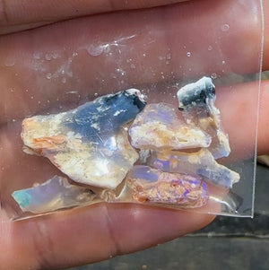 24cts - Lightning Ridge, Fossil Rough Opal Specimen - Opalwhisperers