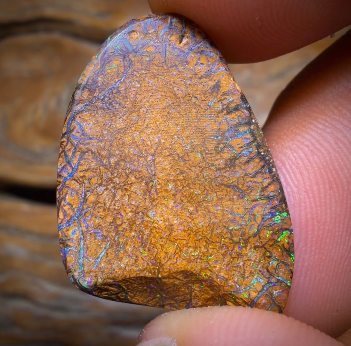 24.3cts - Tan Tribal Yowah Nut Opal. Australian Opal