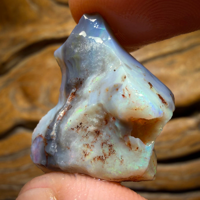 23.1cts - Lightning Ridge Dark Opal Rough Piece
